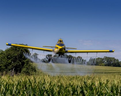 Are pesticides worth the environmental risk? Pesticides helps with crop production, but there's a downside.